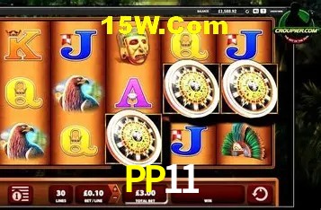 Jogos com bônus e suporte 24h na PP11